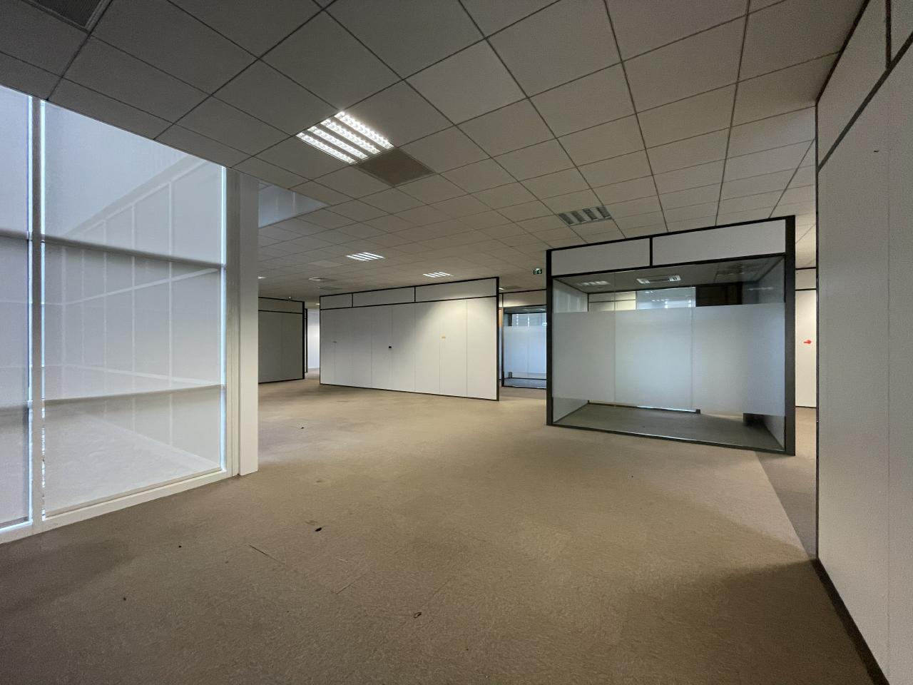 Local d'activité Toulouse 2186m² Location local d'activité Toulouse Haute-Garonne OLACT2207339 10